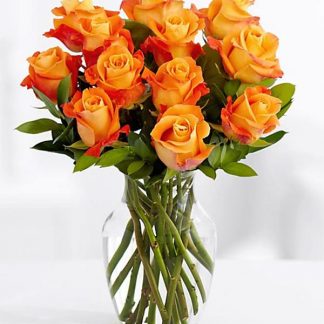 Orange roses in vase