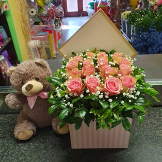 Square rose box with teddy